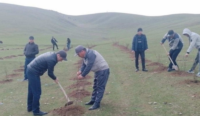"Yangiobodtumangaz" gaz ta'minoti filiali jamoasi tomonidan 1000 tup mevali daraxt ko'chatlari ekildi